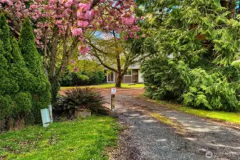 Front view towards home from driveway