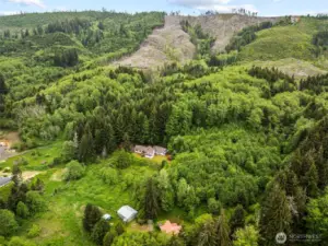Drone view of forested lands to the north!  Additional TIMBERLAND available - ask for more details!