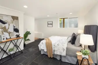 Lower level bedroom