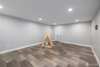 Another view of the rec room/bonus room.  Cable for TV on the wall at right.