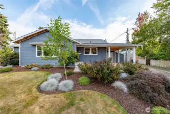 Fully landscaped lot, with low-maintenance trees and shrubs.