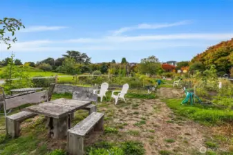 A community garden for fresh herbs and neighbors’ smiles