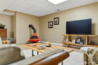 Lower level bonus room