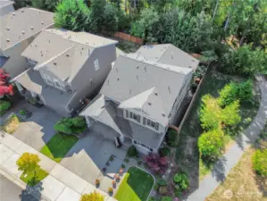 Greenbelt in backyard