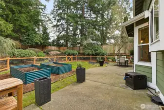 View of the backyard with expansive patio, raised garden beds