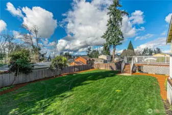 Large backyard