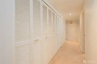 Primary suite closets