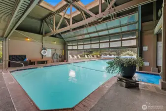 Indoor-outdoor pool!