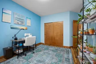 Downstairs Bedroom #1