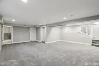 spacious recreation area in basement - garage, three-quarter bathroom, guest room, and laundry all accessed from this room