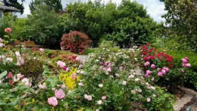 Landscaping is beautiful in full bloom
