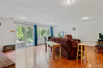 Downstairs rec room