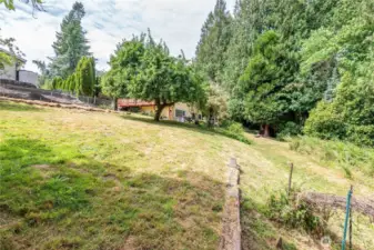 Large yard