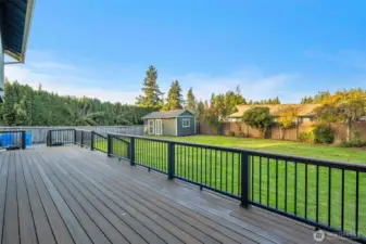 Entertaining Trex deck.