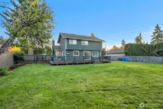 Back corner of the yard. Fruit trees!