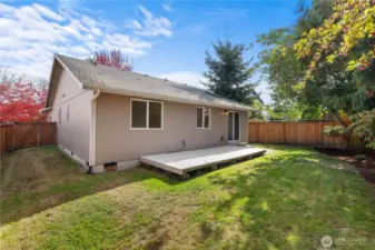 Another look to the yard