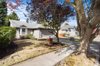 Sidewalks , trees, shopping close by!  Fabulous neighborhood