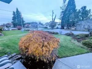 Street view from entry.