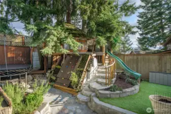 Treehouse/play structure