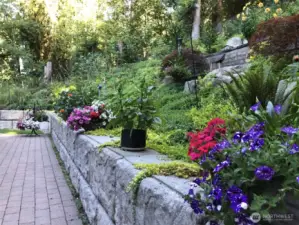 Bring on the Spring blooms!