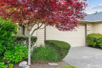 Beautiful, mature landscaping surrounds this terrific home and provides changing colors all year long.