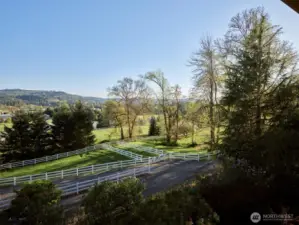 Pasture area