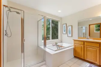 Primary bathroom