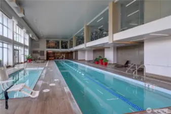 Swimming pool and spa