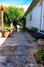 Beautiful wisteria trellis