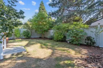 Private backyard with mature trees.