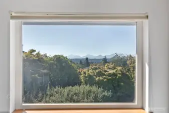 Primary View