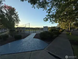 Park at dusk