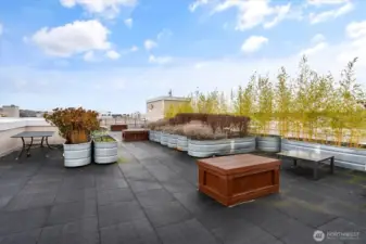 The roof deck is a wonderful amenity for summer evenings.