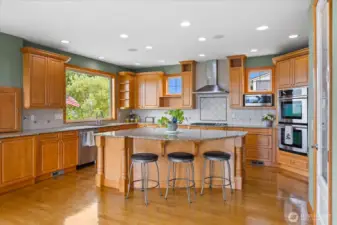 Large gourmet kitchen