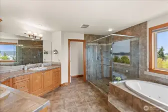 Primary bath with a view