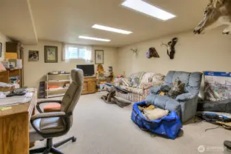 Lower Level - Recreational Room