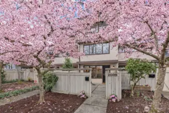 A glimpse into spring