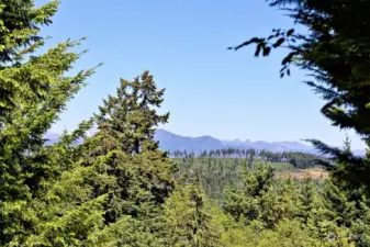 Drone close up of Olympic mountains - 2 story home would probably offer some fantastic views!