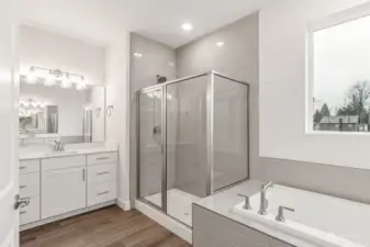 Primary Shower and tub