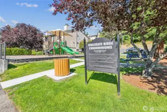 Playground area
