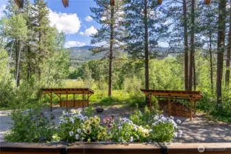 Elevated balcony view captures stunning forest, meadow, and mountain scenery—an ideal perch for morning coffee or evening stargazing.