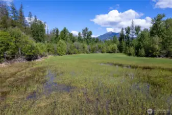 Seasonal wetland meadow supports local wildlife and enhances the property’s serene, sanctuary-like setting.