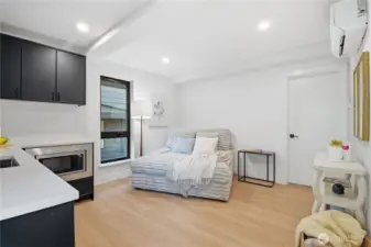 Lower Level Living Room & Kitchenette