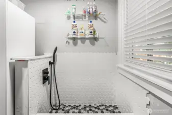 A shower for little ones?  Nope, this has been lovingly installed for dogs.....a true Doggy Shower!