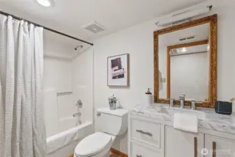 Lower level bathroom