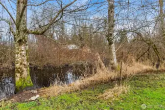 creek behind home