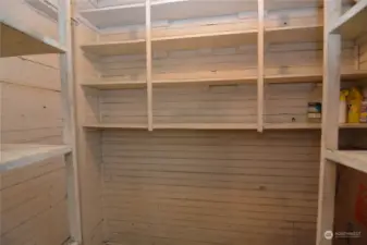 Walk-in Pantry