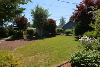 Fenced Back Yard