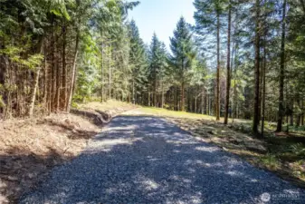 Beautiful clearing for your new home!