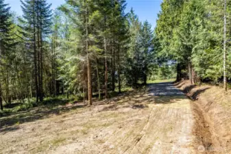 Drive leading into the property....